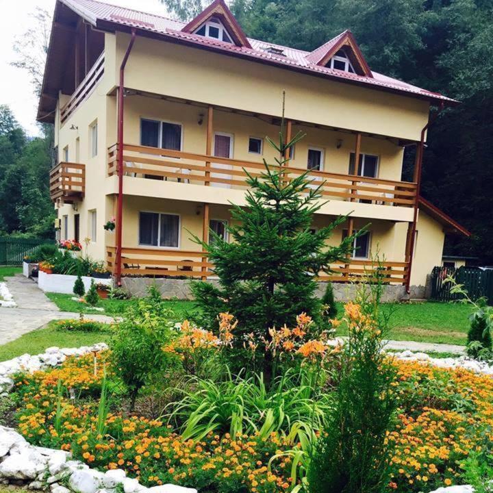 Pensiunea La Padure Cheia, Prahova Hotel Măneciu Exterior foto