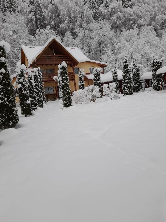 Pensiunea La Padure Cheia, Prahova Hotel Măneciu Exterior foto