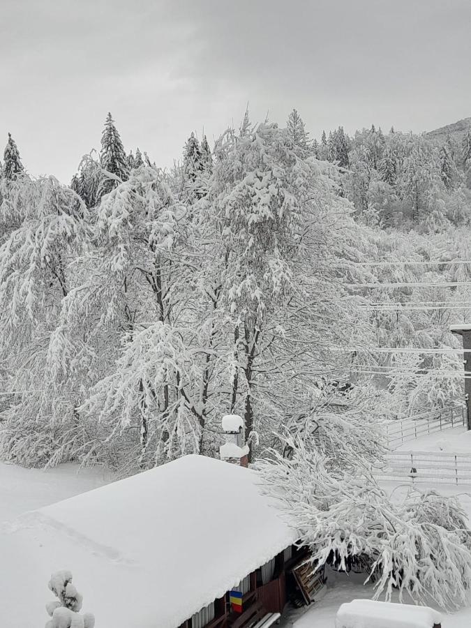 Pensiunea La Padure Cheia, Prahova Hotel Măneciu Exterior foto