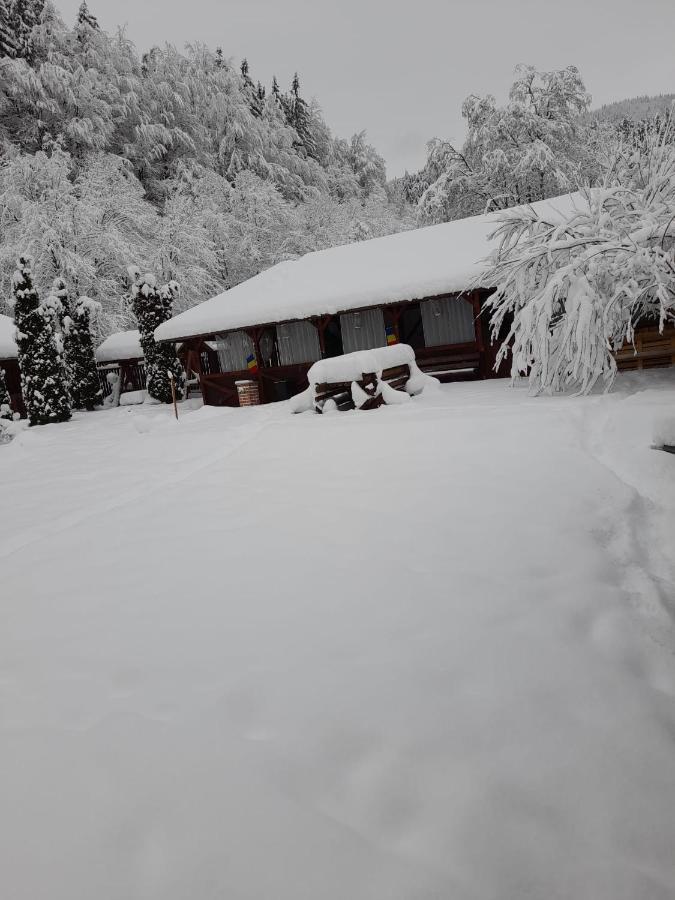 Pensiunea La Padure Cheia, Prahova Hotel Măneciu Exterior foto