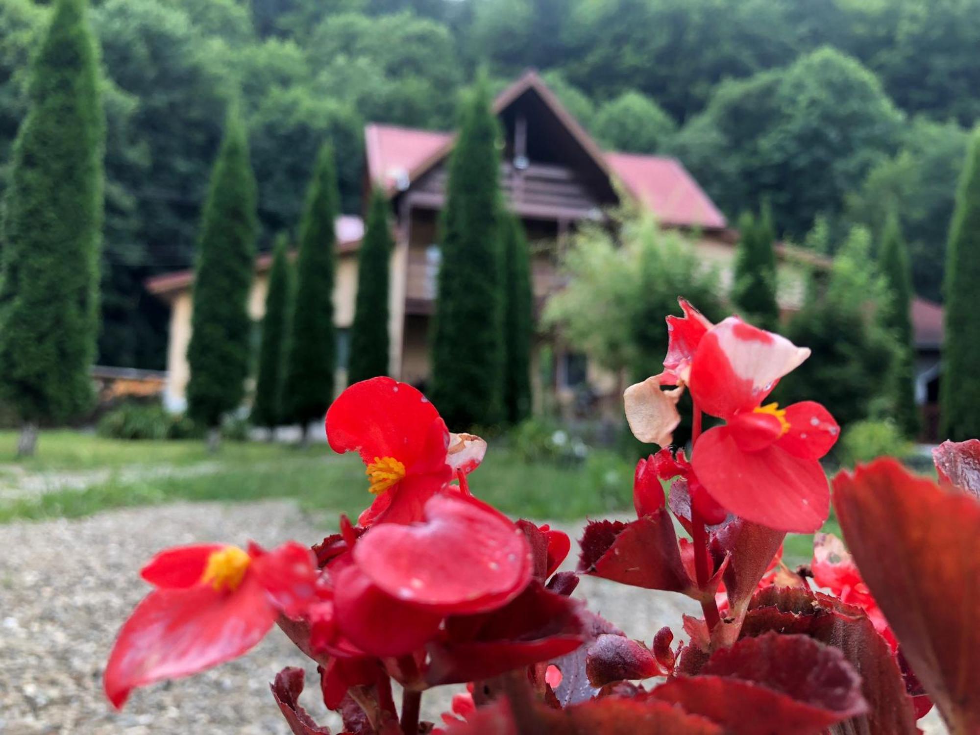 Pensiunea La Padure Cheia, Prahova Hotel Măneciu Exterior foto
