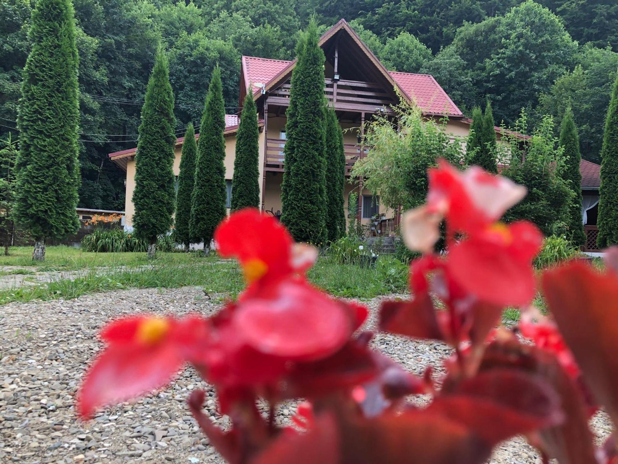 Pensiunea La Padure Cheia, Prahova Hotel Măneciu Exterior foto